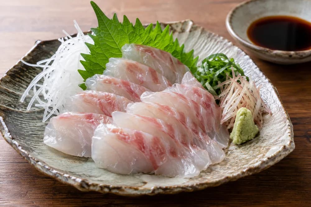 オオモンハタの刺身